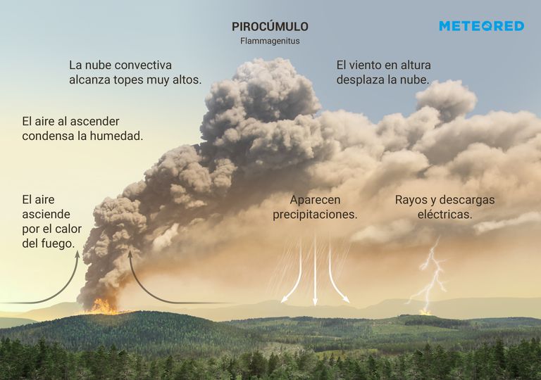 ¿Qué son los pirocúmulos o las nubes flammagenitus? ¿Qué son los pirocúmulos o las nubes flammagenitus?