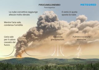 Cosa sono i pirocumuli o cumulonimbus flammagenitus?