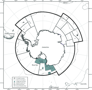 Planes bloqueados para el santuario oceánico más grande del mundo en la Antártida