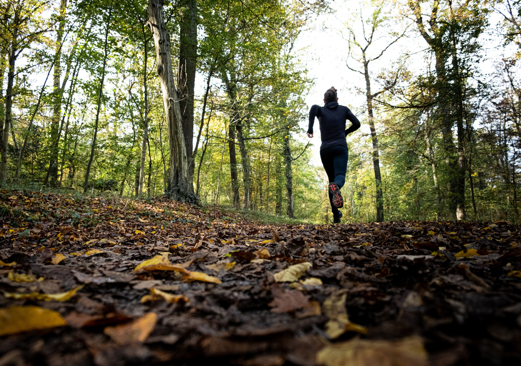 Las actividades al aire libre son recomendadas para mantener un estilo de vida saludable. En la CDMX se pueden disfrutar gracias a sus espacios verdes.