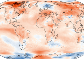 Planeta bate recorde histórico de calor: a temperatura média global de 2023 é a mais alta desde o período pré-industrial