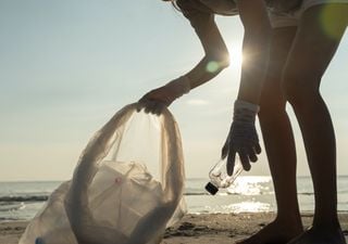 “Planeta oceánico: las corrientes están cambiando”, lema del Día Internacional de los Océanos 2023