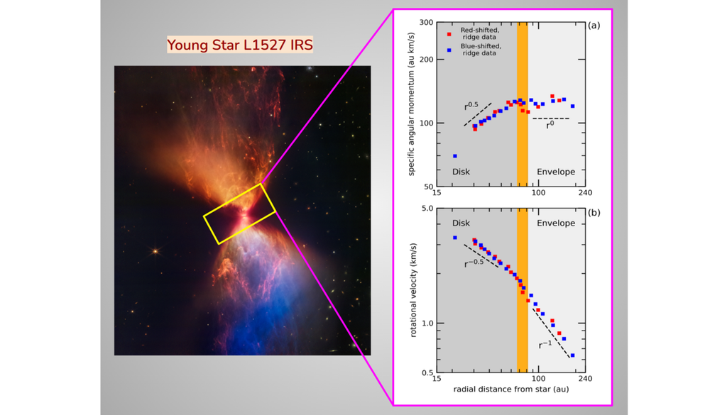 Der Stern L1527 IRS, aufgenommen mit dem JWST (links) und ALMA (rechts) mit spezifischem Drehimpuls und Rotationsgeschwindigkeit. Ein Sprung im Profil markiert ENDTRANZ, den Übergang von der einfallenden Hülle (Envelope) zur keplerschen Scheibe (Disk). Bild: (links) NASA/ESA/CSA/STScI, (rechts) Indrani Das/ASIAA