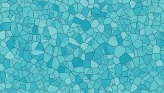 Planta-chinesa-do-dinheiro revela geometria secreta: folhas seguem l&oacute;gica usada em mapas