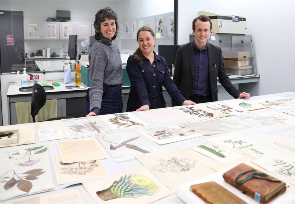 curadores, herbário da Universidade de Cambridge