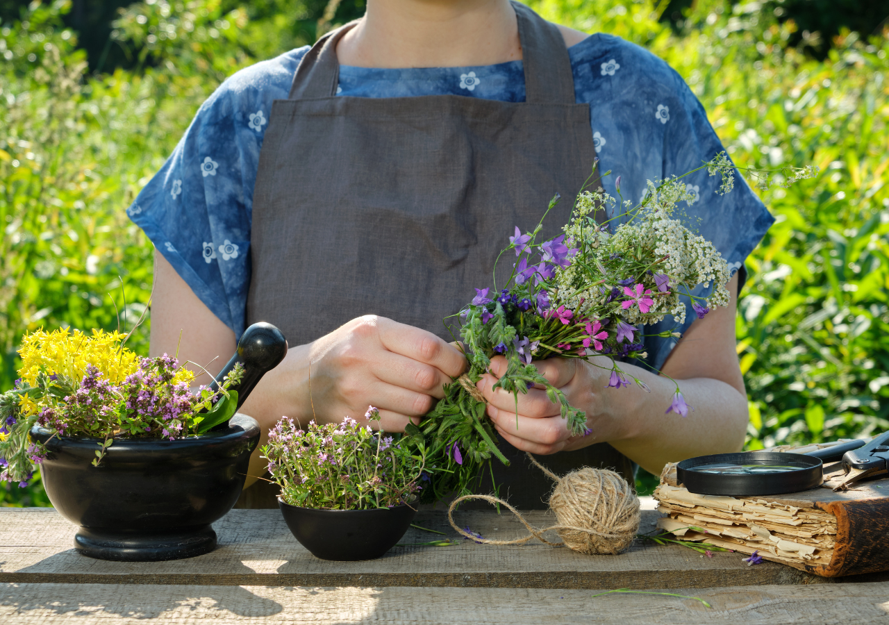 Algunas plantas tienen propiedades que benefician la piel, el cabello, los órganos internos y hasta el cerebro, ayudándonos a sentirnos y vernos mejor.