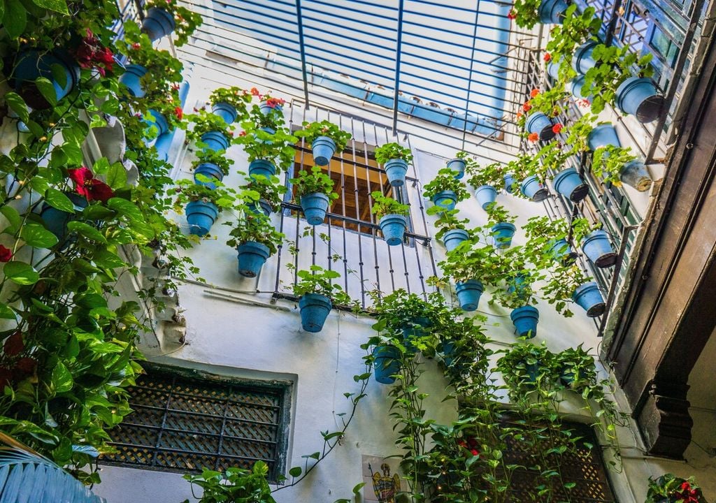 Balcones