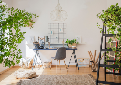 Plantas que alegran tus estantes (y no invaden tu casa)