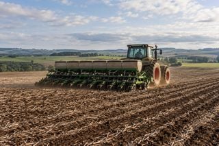 Plantio antecipado de soja: chuva de 60 mm amea&ccedil;a opera&ccedil;&otilde;es no RS