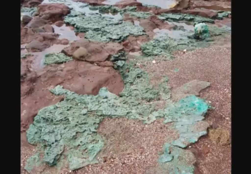 Rochas de plástico (verde) na ilha da Trindade. Crédito: Fernanda Avelar Santos/UFPR.