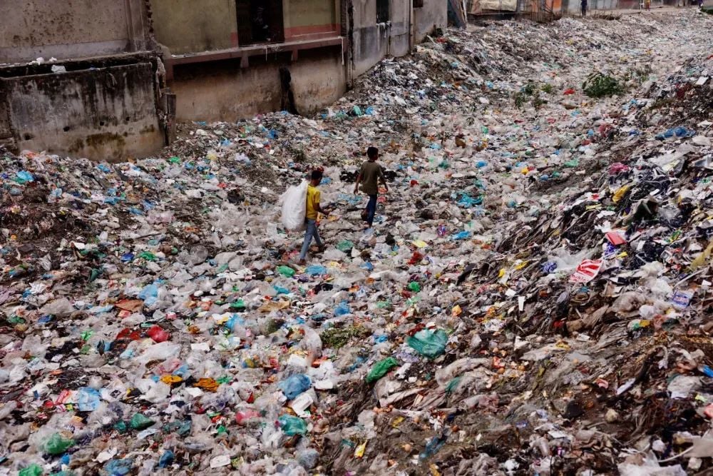 Dove finisce la tua bottiglietta di plastica?, Articoli