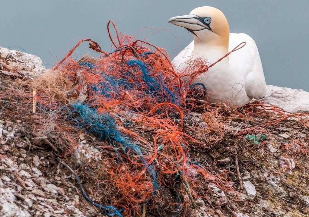 Schätzungsweise drei bis fünf Prozent des weltweit produzierten Plastiks landen in der Umwelt.