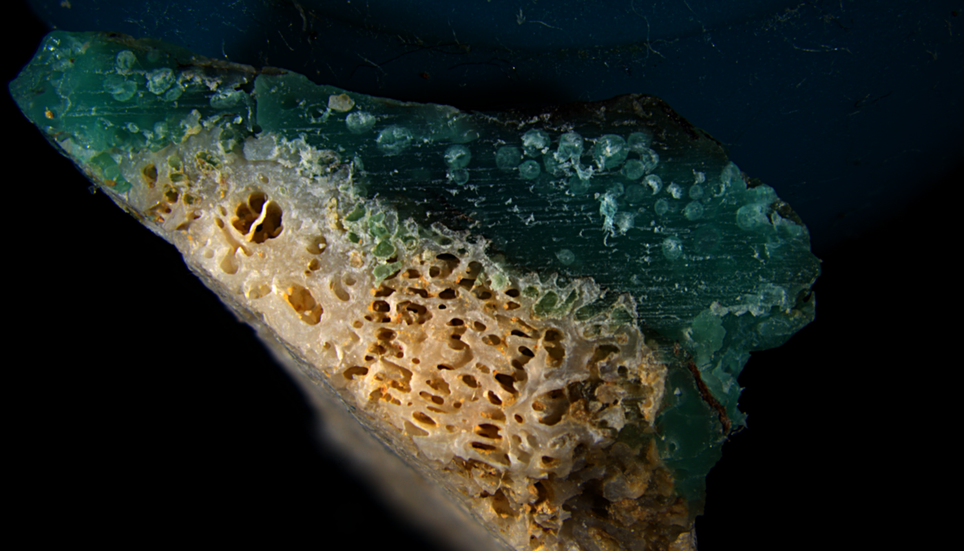 Des coraux morts sont visiblement fusionnés avec du plastique. Voici un « Plasticoral », découvert sur la plage de Sosu, à Okinawa. Image : Ilechukwu et al., 2026