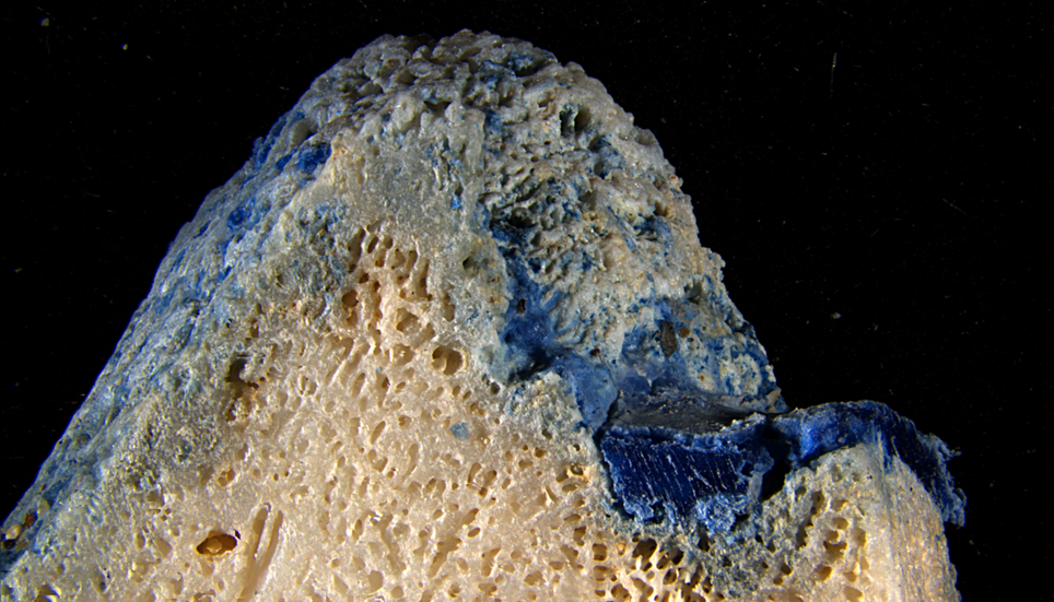 Un « Plasticoral » également collecté sur la plage de Sosu. Image : Ilechukwu et al., 2026