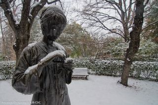 La plataforma Clima: dando respuesta a los efectos del cambio climático