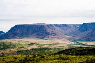 Plateaus around the world are in mysterious locations, and it could be due to waves beneath the continents