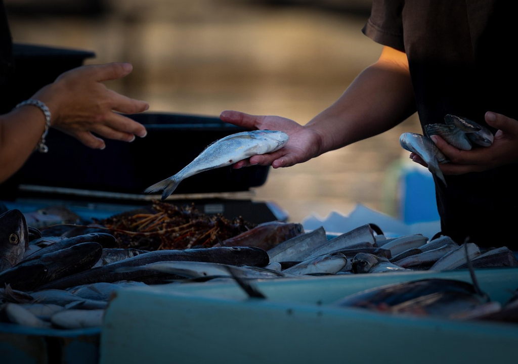 pescado; comida; gastronomia; Mexico; tradiciones; cuaresma; pescado; comida; gastronomia; Mexico; tradiciones; cuaresma;