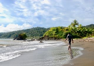 Playas cálidas, gastronomía marina y turismo comunitario: conoce los encantos del Pacífico colombiano