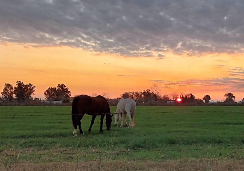 Lima, Provincia de Buenos Aires. Lima, Provincia de Buenos Aires.