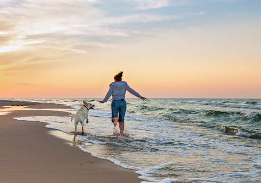Playas pet-friendly en Argentina: 3 destinos en la Costa Atl&aacute;ntica para disfrutar este verano con tu mascota
