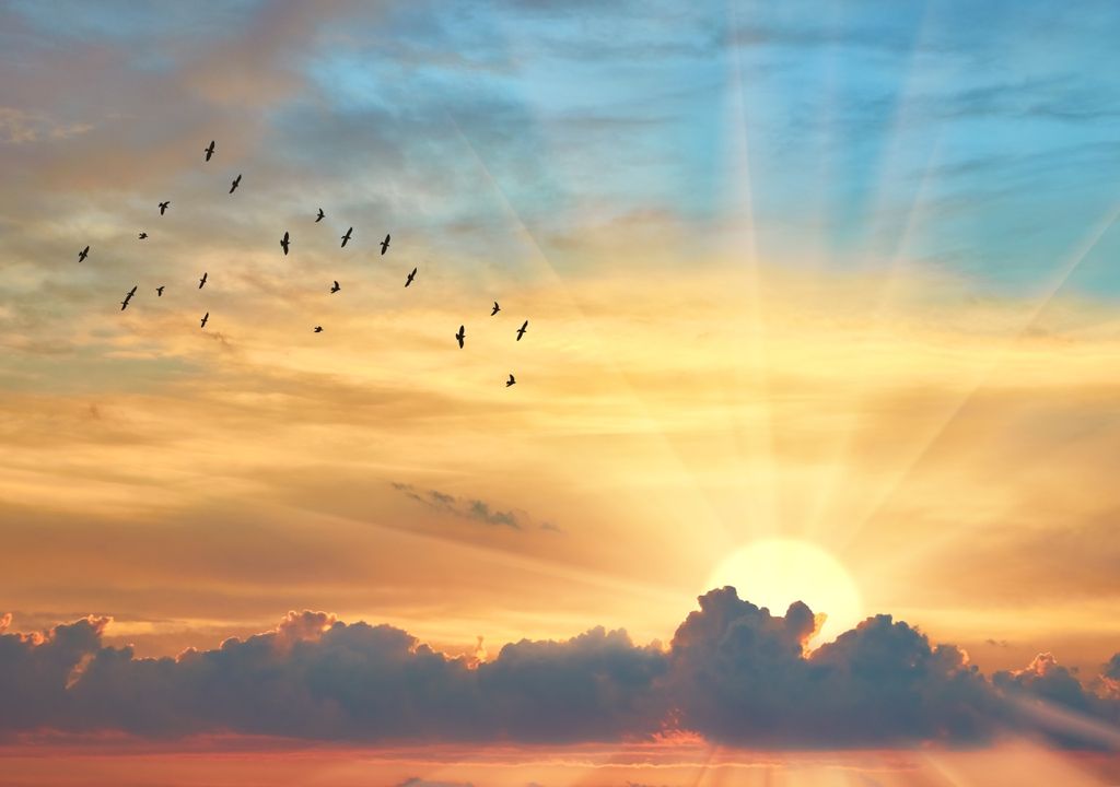 calor altas temperaturas mayo Argentina