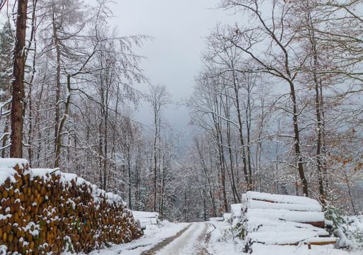 Pl&ouml;tzlich Winter mitten im Oktober: Wettermodelle zeigen Schnee-Attacke &ndash; und sie kommt fr&uuml;her als gedacht