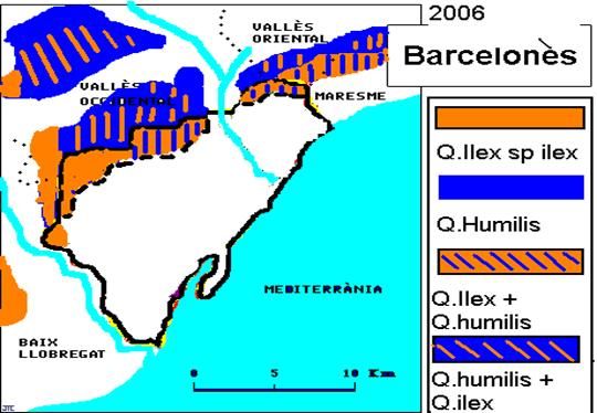 Figura 35. Imágenes de las especies vegetales citadas en el texto.