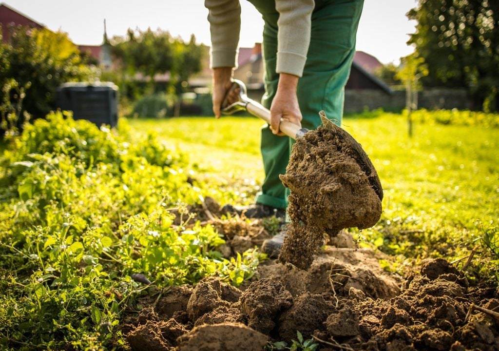 jardin2 La preparación del terreno es el primer paso para lograr plantas fuertes y saludables. Remover la tierra y agregar materia orgánica facilita el desarrollo de las raíces.