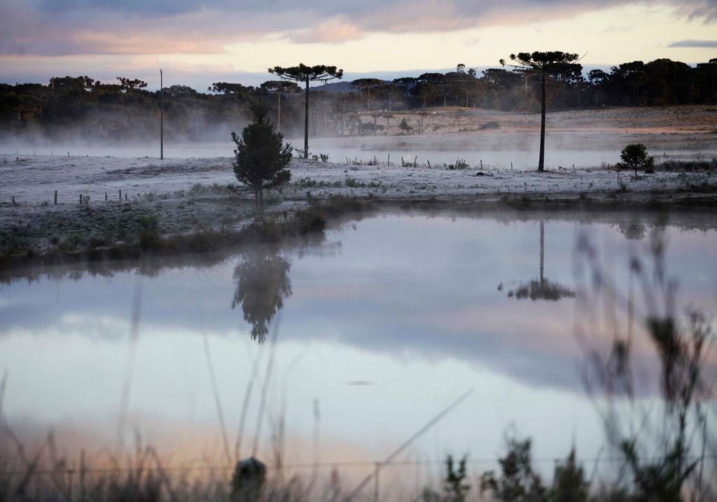 Campo coberto por geada em São Joaquim/SC. Fonte: Adobe Stock. Campo coberto por geada em São Joaquim/SC. Fonte: Adobe Stock.