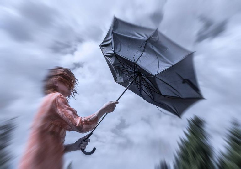 vento; guarda-chuva; mulher; tempestade vento; guarda-chuva; mulher; tempestade