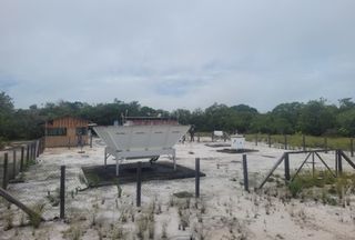 Poeira do Saara cruza o Atlântico e leva minerais que ajudam a recuperar a Amazônia após queimadas