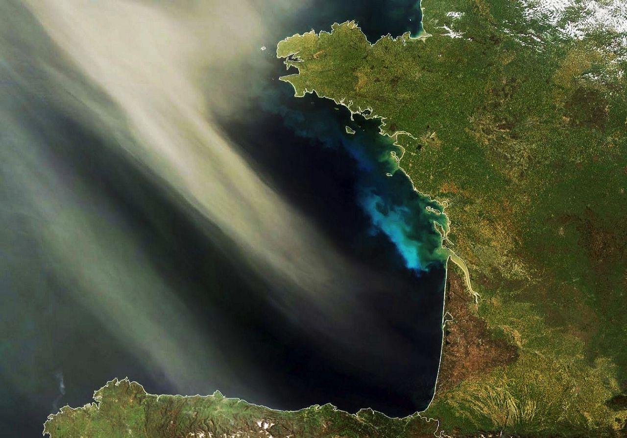 Poeiras do deserto alimentam fitoplâncton nos oceanos, revela estudo da NASA, onde participam várias universidades.