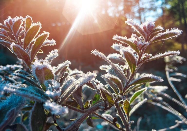 Polar-Hammer ab diesem Datum: Temperatursturz, Sturm und erster Schnee &ndash; jetzt kippt das Wetter in Deutschland komplett