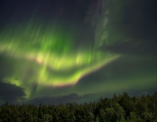 Schon wieder Polarlichter über Deutschland: Habt Ihr sie gesehen? 