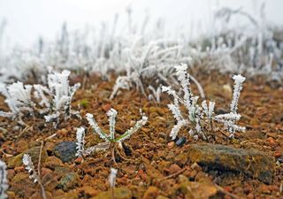 Polarluft bringt Donnerstagmorgen Frost! Erster Wintereinbruch?