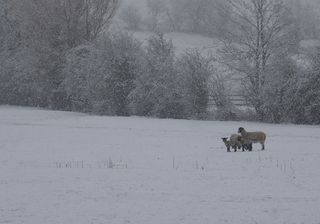 Polarpeitsche bringt nächste Woche Winterchaos nach Deutschland!