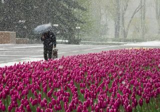 Gruselprognose: Schnee bis Mai möglich! Polarluft lässt nicht locker! 