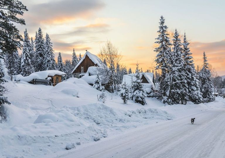 Polarwinter im Februar: Eisige Tag oder erste Frühlingsluft? Polarwinter im Februar: Eisige Tag oder erste Frühlingsluft?