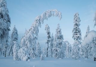 Vorsicht! Im Januar 2024 schlägt der Porlarwirbel wieder zu: Schnee und Eis fluten Deutschland! Diesmal aber sicher...