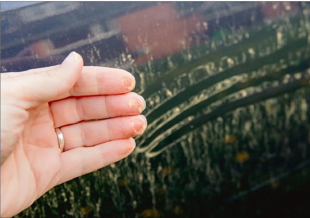 alergia primavera polen rinitis