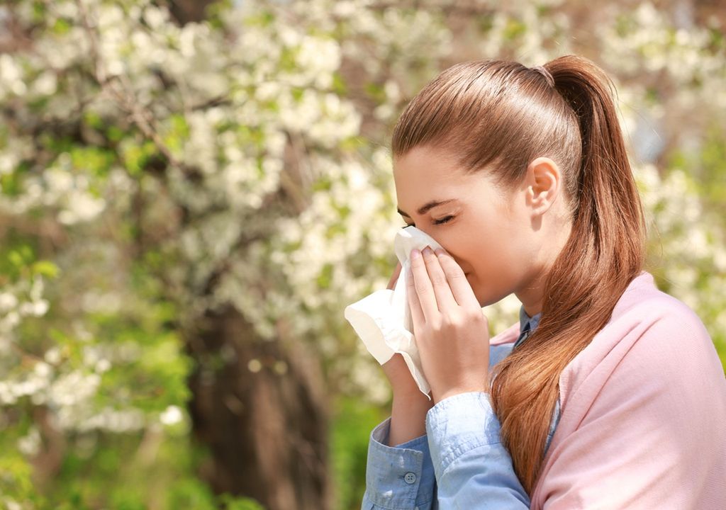 alergia primavera polen