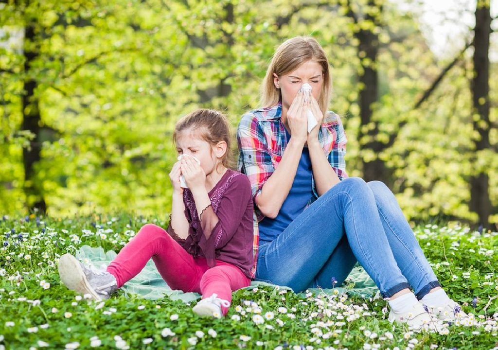 alergias primavera rinitis polen