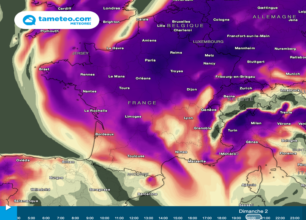 Des centaines de grains de pollens seront présents par mètre cube d'air ce dimanche. Des centaines de grains de pollens seront présents par mètre cube d'air ce dimanche.