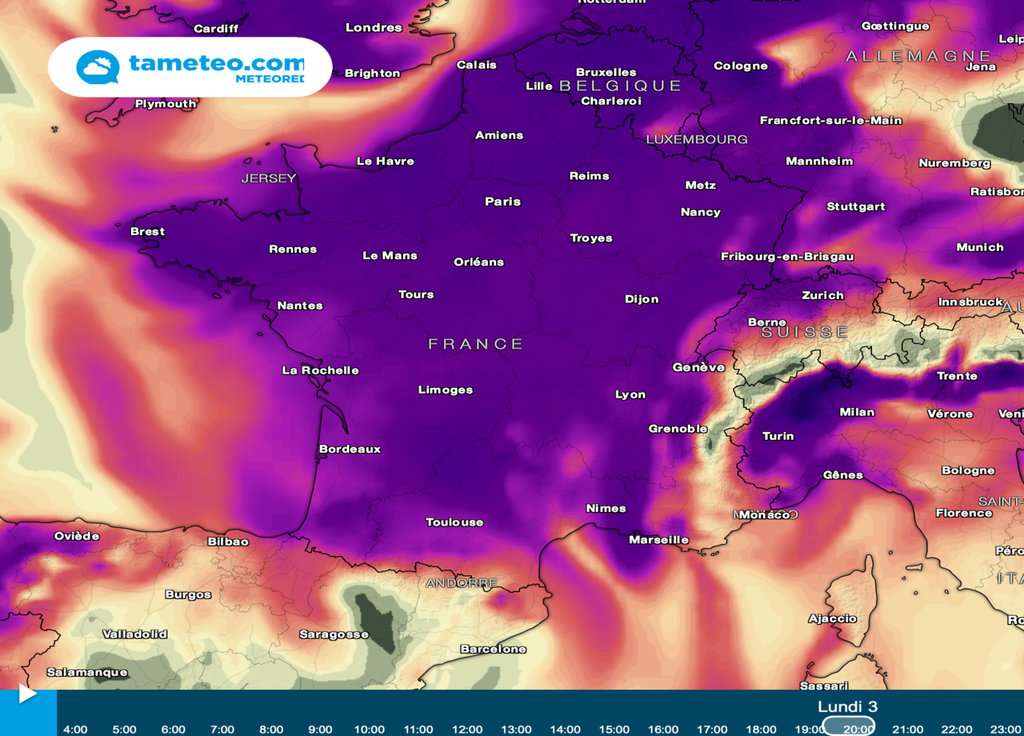 Les fortes concentrations en pollens de bouleaux s'étendent à l'ensemble de la France lundi. Les fortes concentrations en pollens de bouleaux s'étendent à l'ensemble de la France lundi.