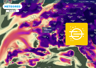 Pollens en France : arriv&eacute;e des gramin&eacute;es ? Voici les pr&eacute;visions de ces prochains jours !