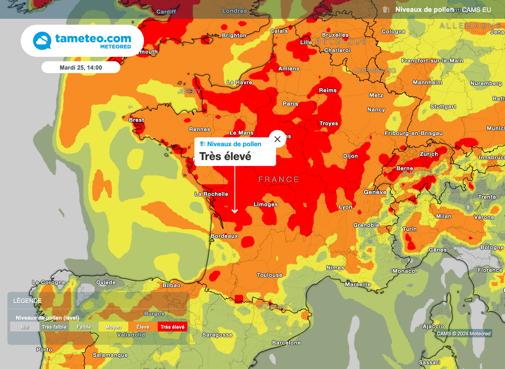 Nombreux seront les départements avec un niveau de pollens très élevés y compris en début de semaine en France. Nombreux seront les départements avec un niveau de pollens très élevés y compris en début de semaine en France.