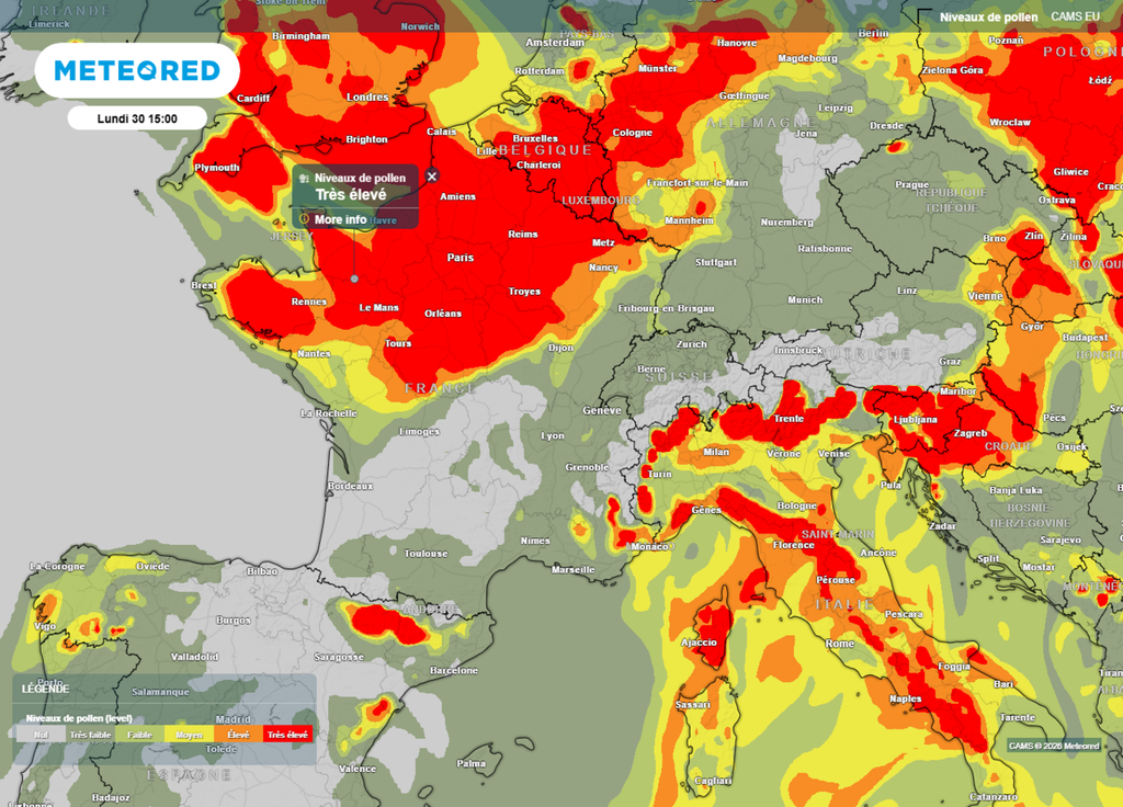 Niveaux de pollens lundi après-midi Ce lundi après-midi, les régions en rouge sur la carte seront particulièrement exposées au risque pollinique, notamment pour le bouleau.