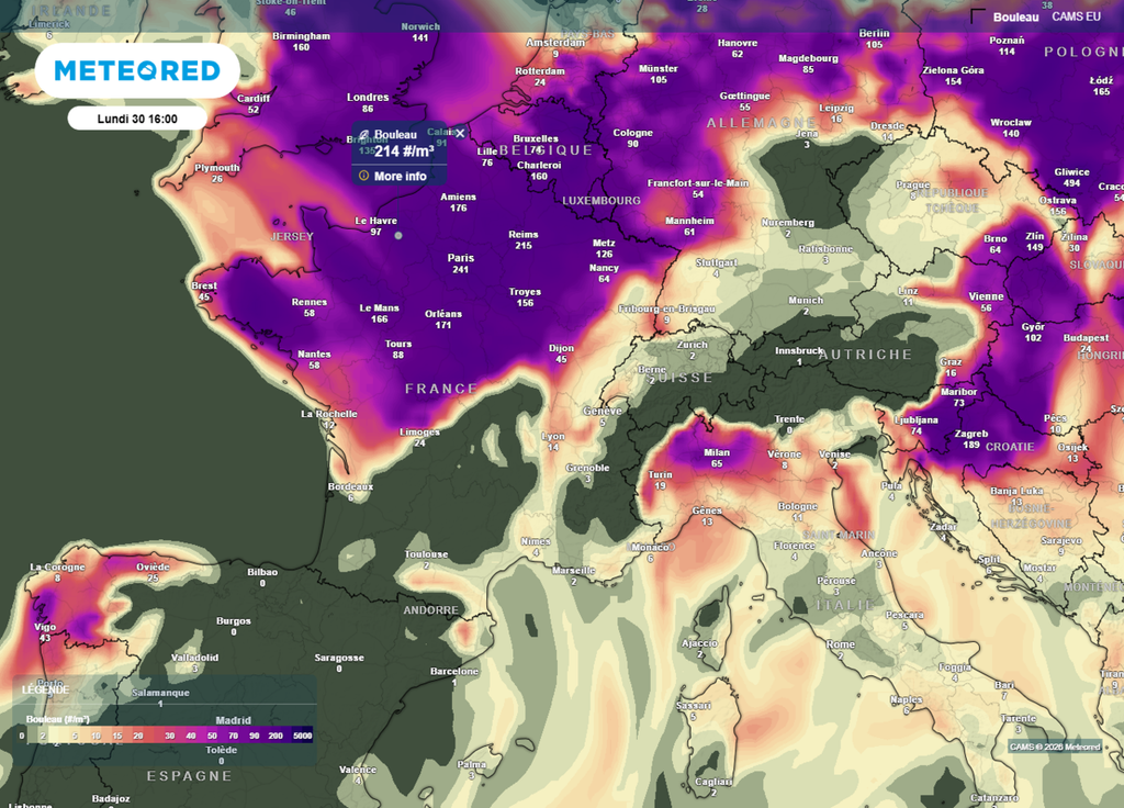 Concentration en pollens de bouleau lundi après-midi Lundi après-midi, la concentration en pollens de bouleau dépassera parfois dans le Nord-Ouest les 200 grains par mètre cube d'air.