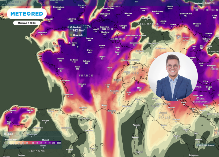 Pollens en France : encore des allergies malgr&eacute; la m&eacute;t&eacute;o moins douce ! Quelle journ&eacute;e la plus &agrave; risque d'ici vendredi ?