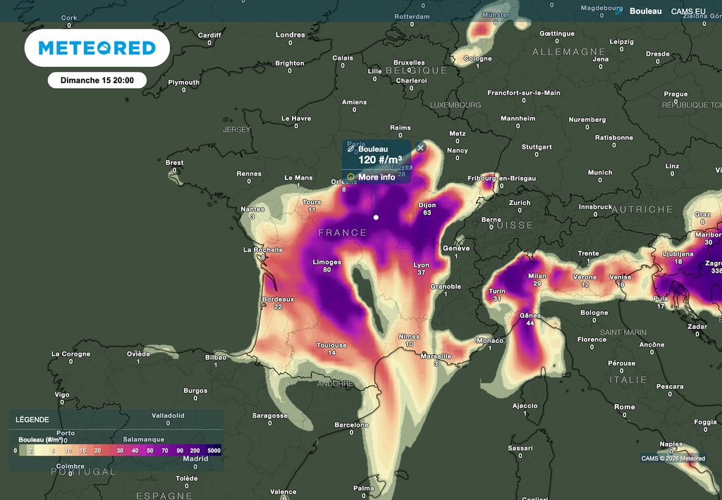 Des pollens déjà bien présents pour la journée de ce dimanche.